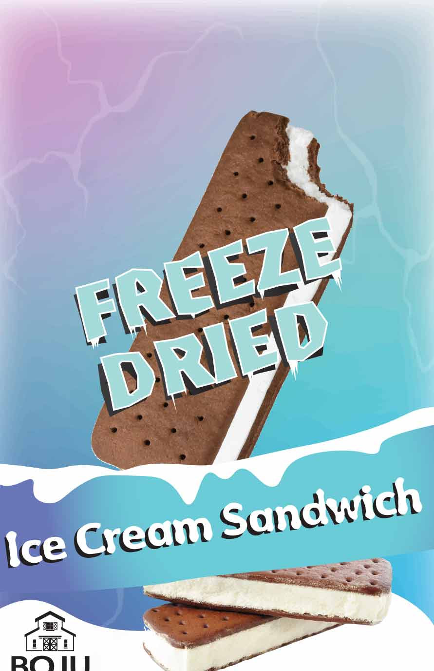 Freeze-dried Ice Cream Sandwich 2pk