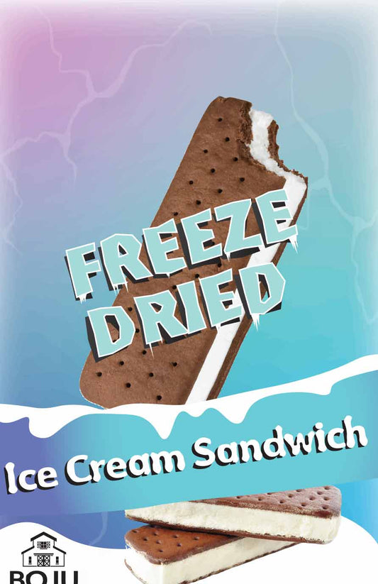 Freeze-dried Ice Cream Sandwich 2pk